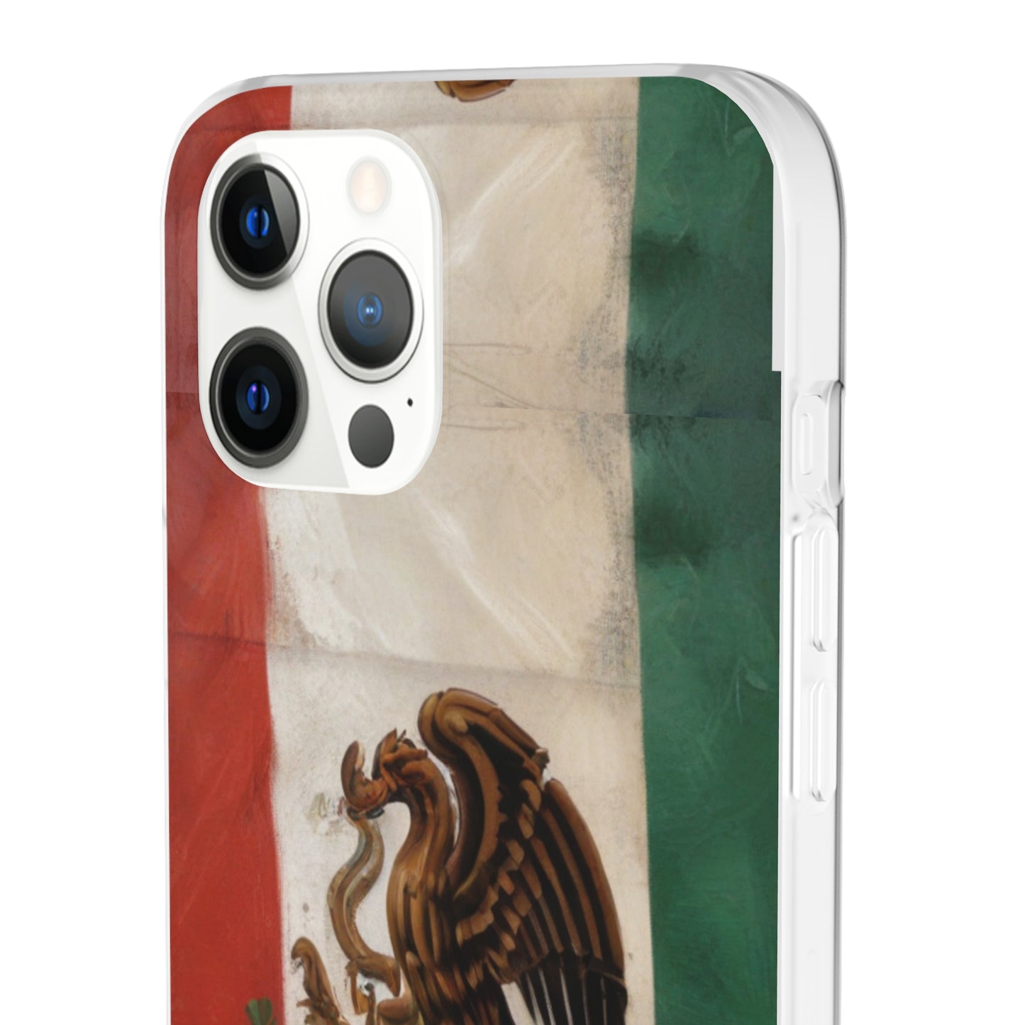 Flexi Case [Mexico]