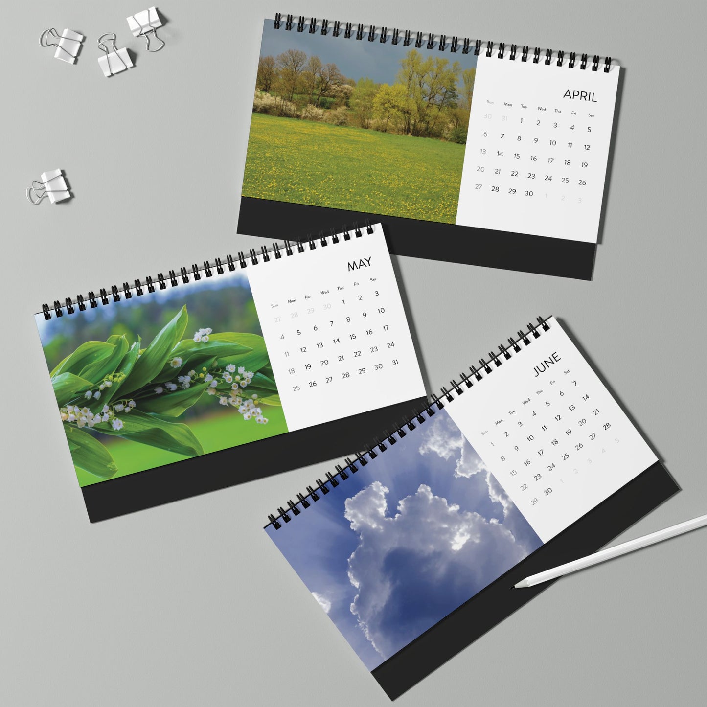 Desktop Calendar (2025 grid)