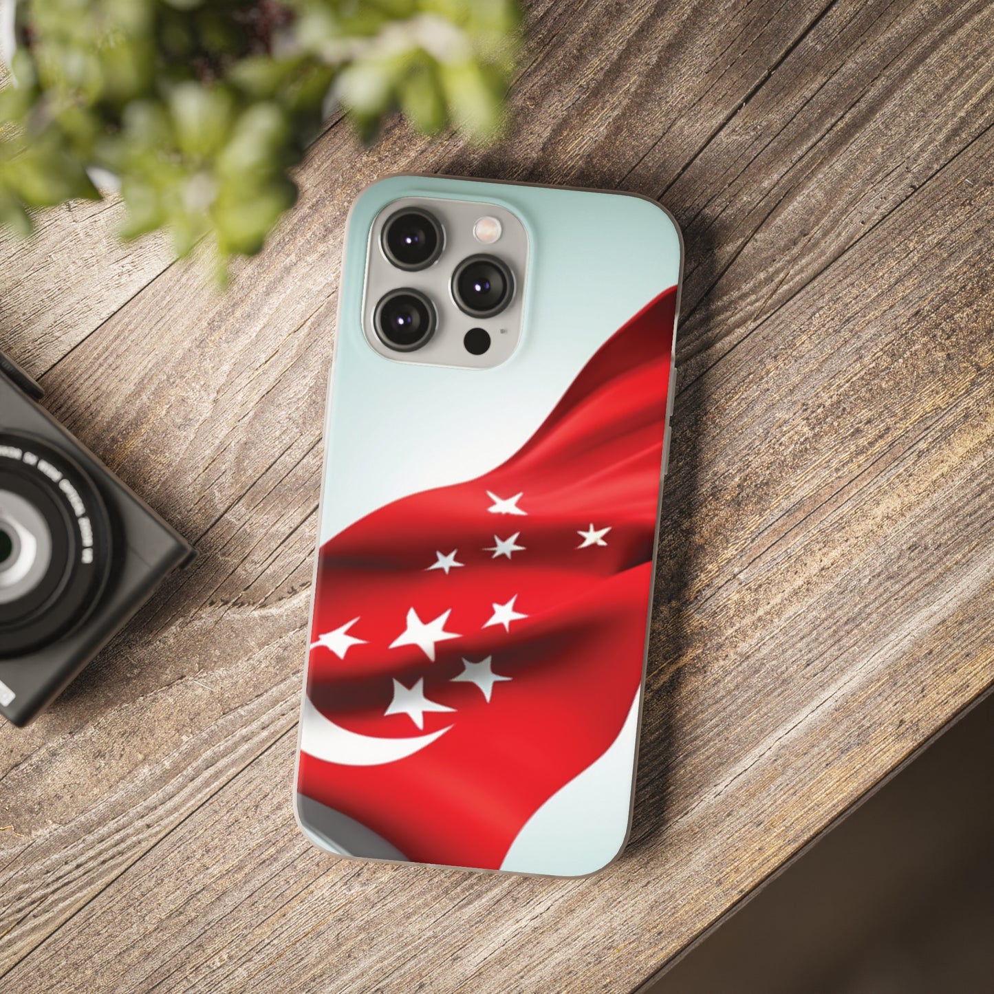 Flexi Case [Singapore]