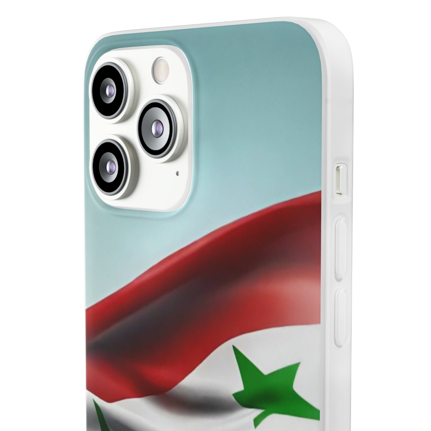 Flexi Case [Syria]