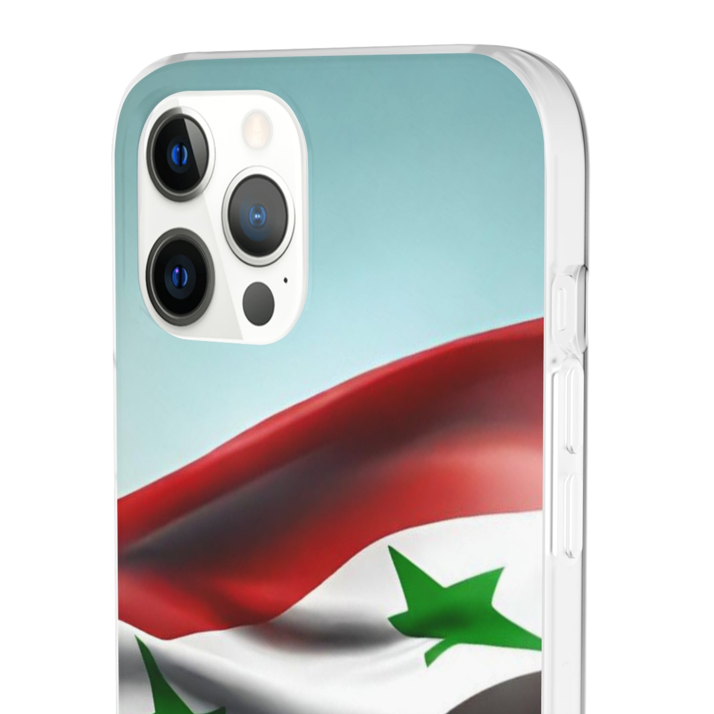 Flexi Case [Syria]