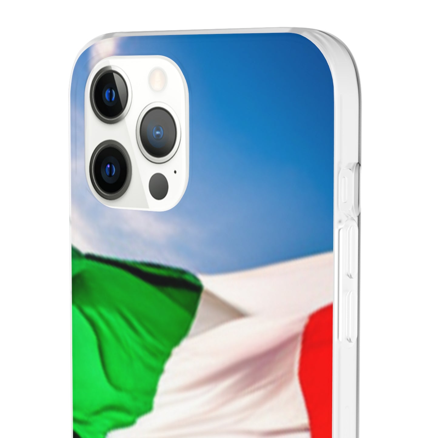 Flexi Case [Italy]