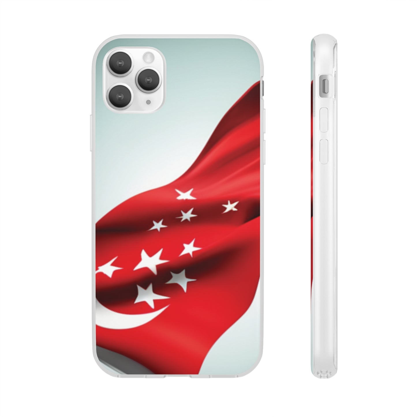 Flexi Case [Singapore]