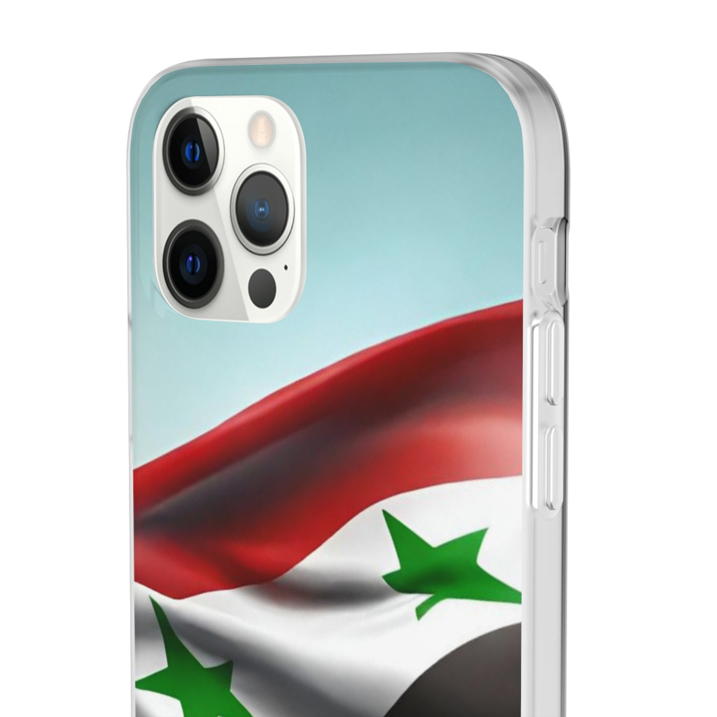 Flexi Case [Syria]