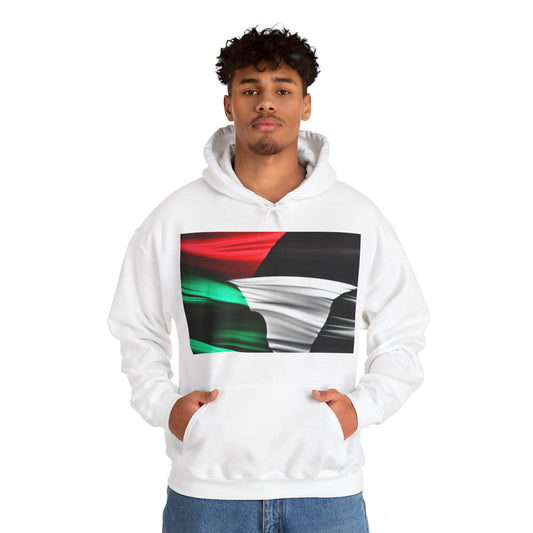 Hooded Sweatshirt [Palestine]