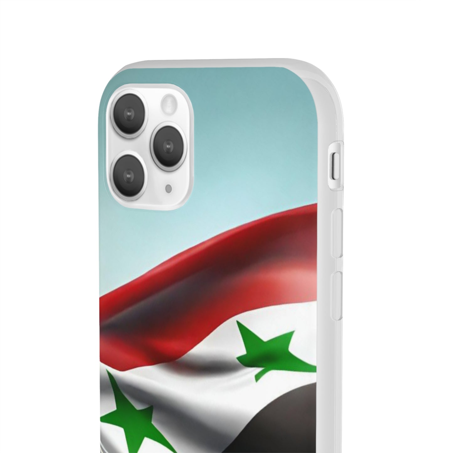 Flexi Case [Syria]